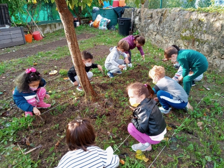 Plantando no Vila Laura
