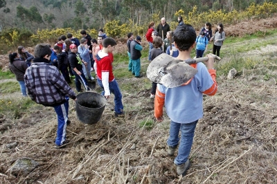 Reforestación en el monte del Salgueiral