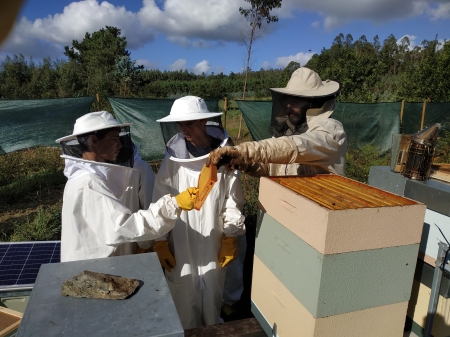 Diversidad, abejas y reciclaje para la recta final del curso