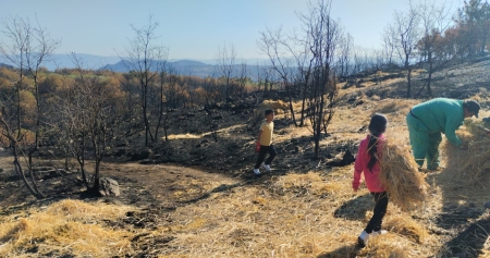 Voz Natura impulsa una recuperación forestal sostenible desde la escuela