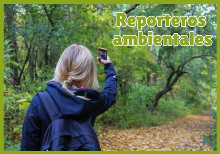 ¡Voz Natura busca reporteros medioambientales!