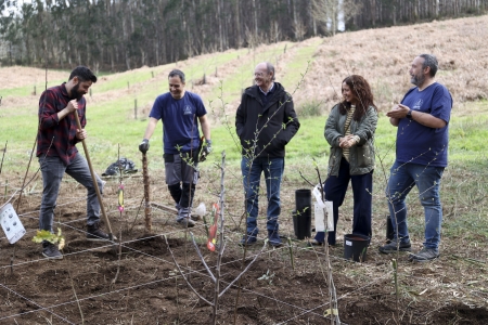 Celebramos el Día Mundial del Árbol creando un bosque «de bolsillo» con el IES de Arzúa
