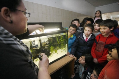 El colegio de Carril inaugura un acuario de peces tropicales